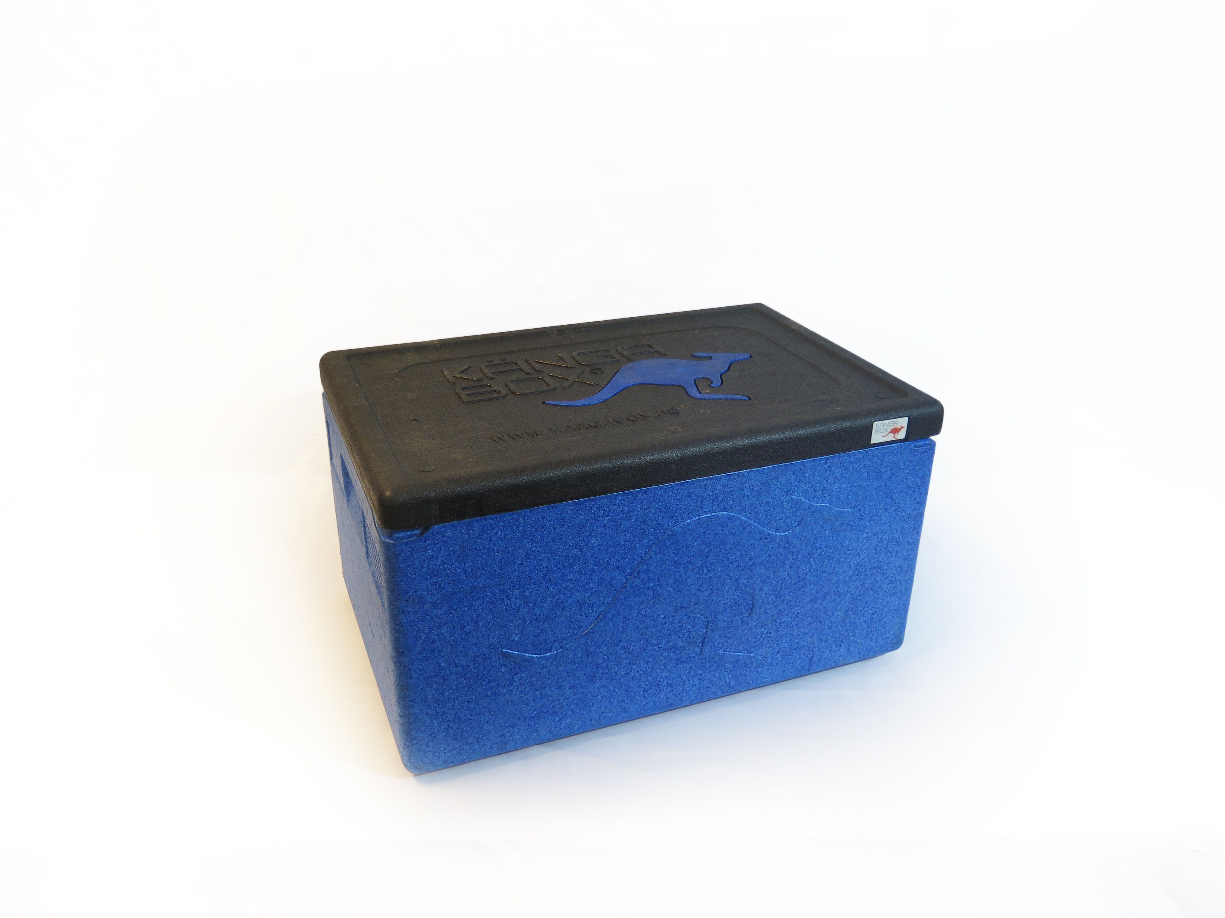 Photo de Caisse avec couvercle Iso 60 x h 33 x 40 cm